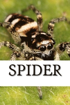 Spider - Spider, Häftad. Tillgänglighet: Lägg i varukorg