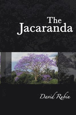 David Rubin - The Jacaranda, Häftad