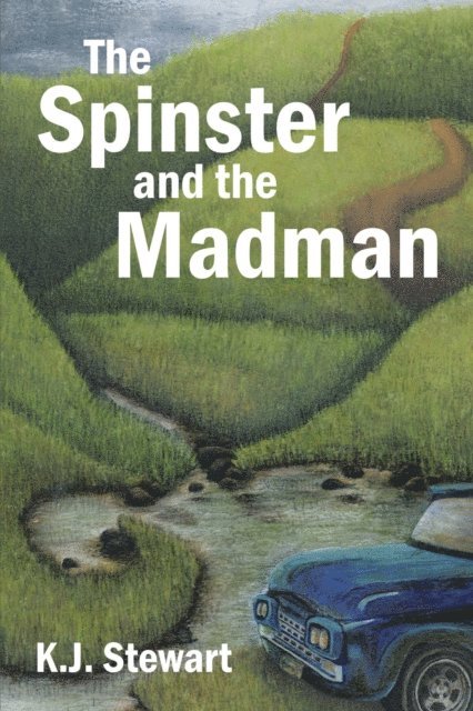 K.J. Stewart - Spinster and the Madman, E-bok