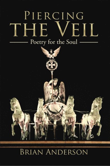 Brian Anderson - Piercing the Veil, E-bok