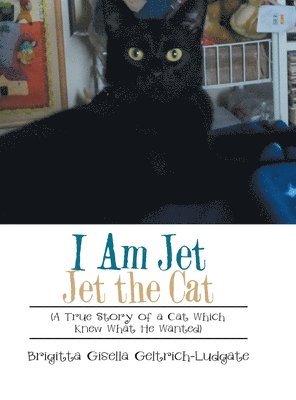 Brigitta Gisella Geltrich-Ludgate - I Am Jet Jet the Cat, Inbunden