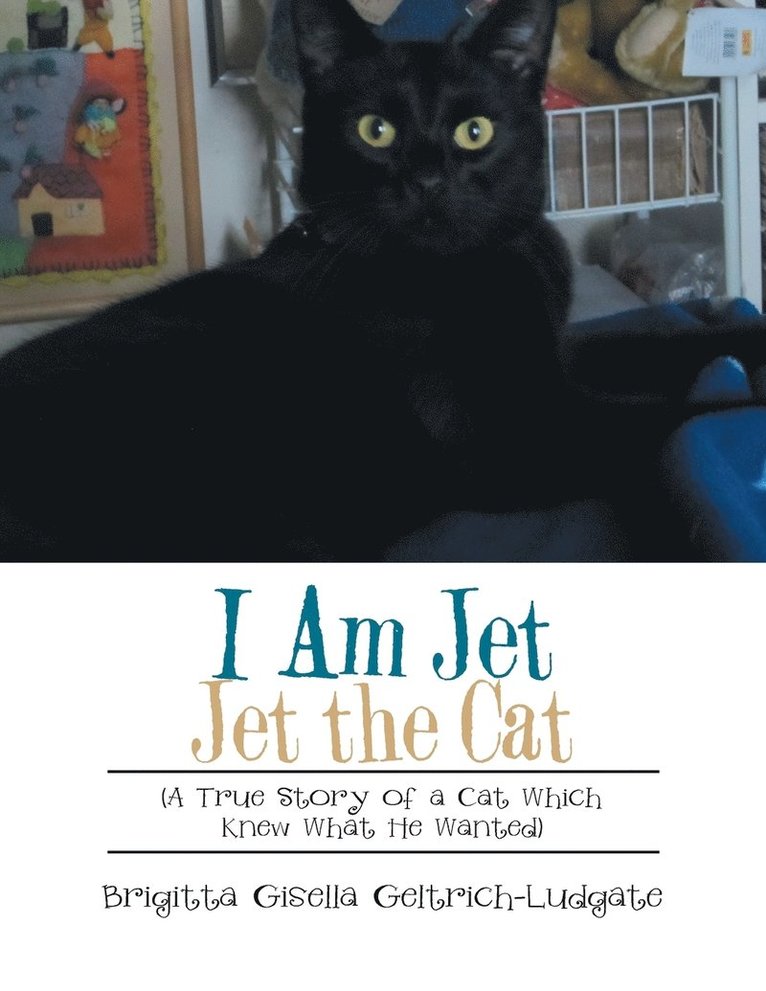 Brigitta Gisella Geltrich-Ludgate - I Am Jet Jet the Cat, Häftad