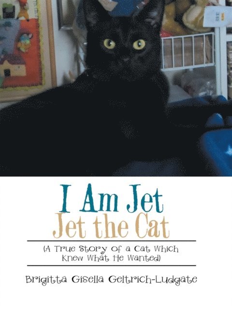 Brigitta Gisella Geltrich-Ludgate - I Am Jet Jet the Cat, E-bok