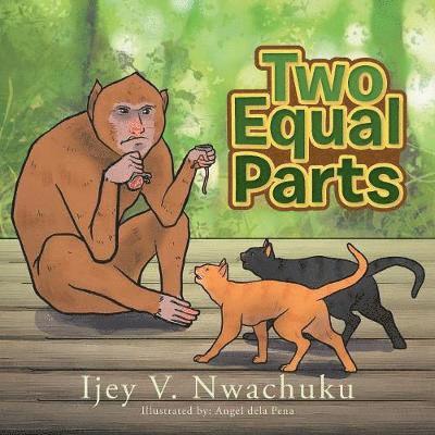 Ijey V Nwachuku - Two Equal Parts, Häftad