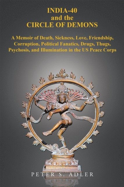 Peter S. Adler - India-40 and the Circle of Demons, E-bok