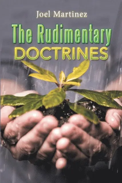 Joel Martinez - Rudimentary Doctrines, E-bok. Tillgänglighet: Lägg i varukorg