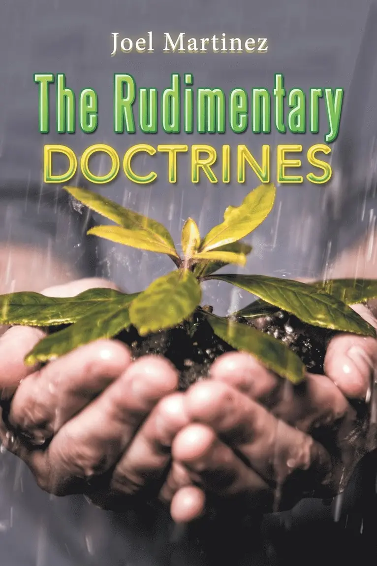 Joel Martinez - Rudimentary Doctrines, Häftad. Tillgänglighet: Lägg i varukorg