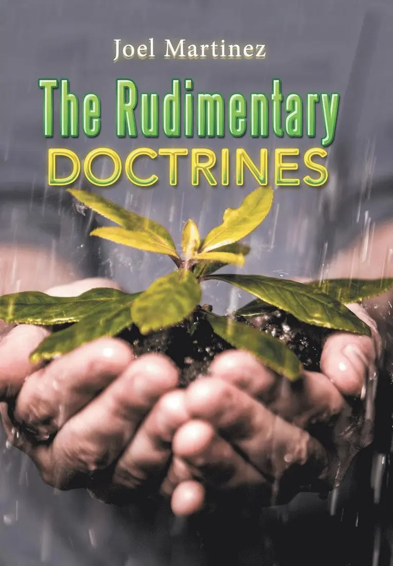 Joel Martinez - Rudimentary Doctrines, Inbunden. Tillgänglighet: Lägg i varukorg