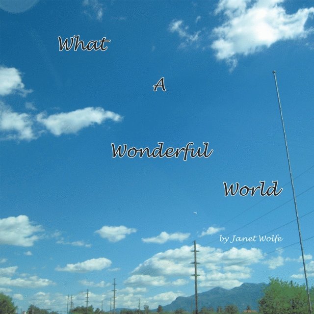Janet Wolfe - What a Wonderful World, E-bok