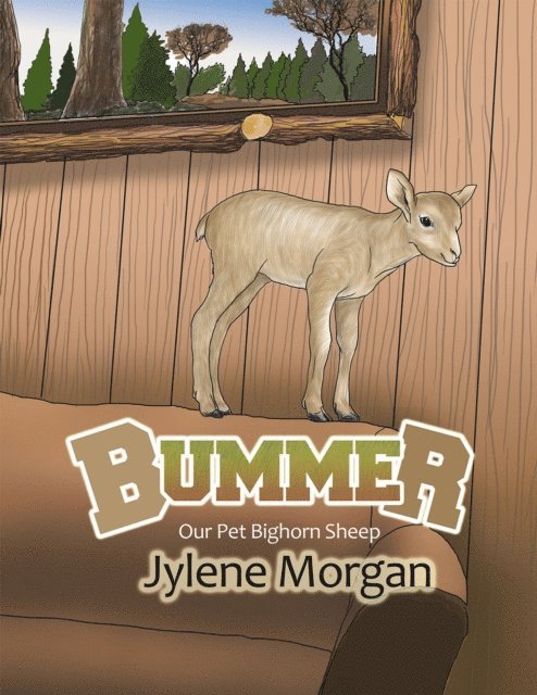 Jylene Morgan - Bummer, E-bok