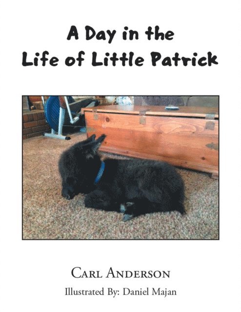 Carl Anderson - Day in the Life of Little Patrick, E-bok
