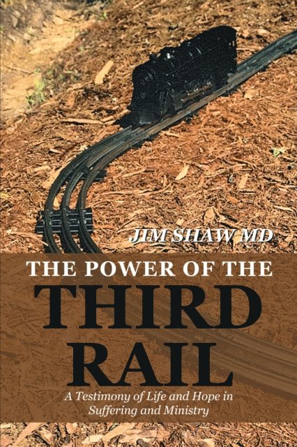 Jim Shaw - Power of the Third Rail, E-bok