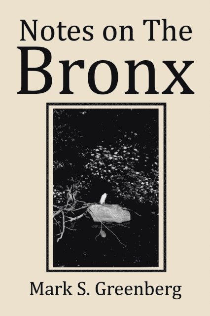 Mark S. Greenberg - Notes on the Bronx, E-bok