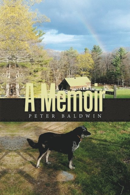 Peter Baldwin - Memoir, E-bok