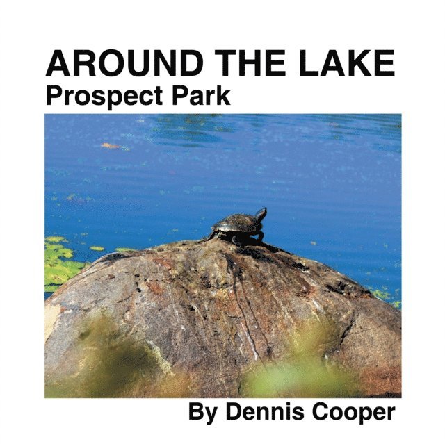 Dennis Cooper - Around the Lake Prospect Park, E-bok