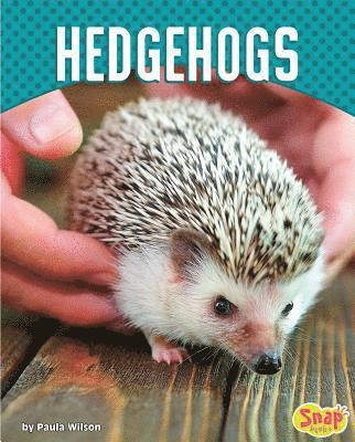 Paula M. Wilson - Hedgehogs, Inbunden. Tillgänglighet: Lägg i varukorg