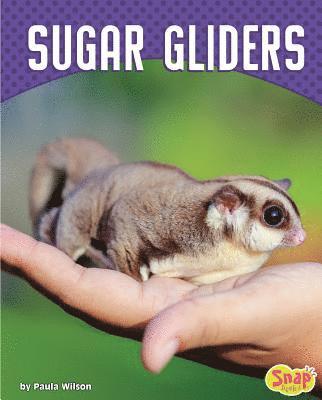 Paula M. Wilson - Sugar Gliders, Inbunden