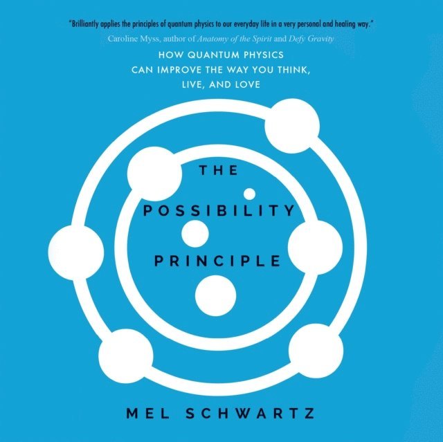 Mel Schwartz - Possibility Principle, Ljudbok