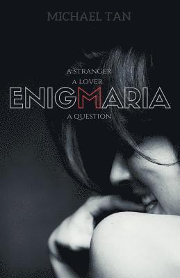 Michael Tan - Enigmaria, Häftad