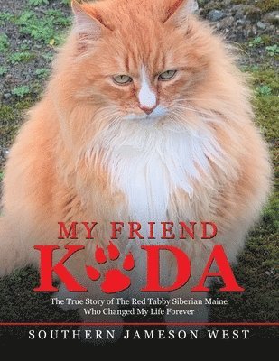 My Friend Koda