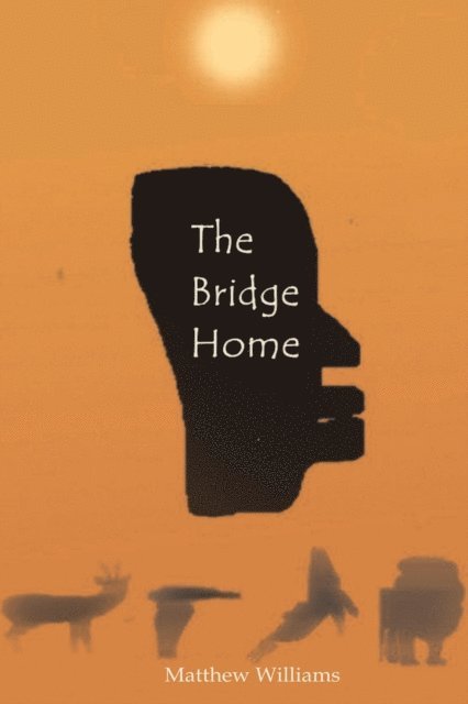 Matthew Williams - Bridge Home, E-bok