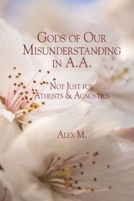 Alex M. - Gods of Our Misunderstanding in A.A., E-bok