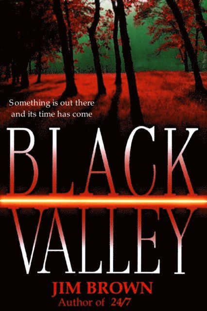 Jim Brown - Black Valley, E-bok