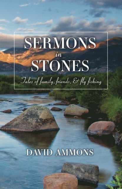 David Ammons - Sermons in Stones, E-bok