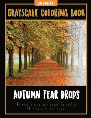 Autumn Tear Drops Landscapes: Grayscale Coloring Book Relieve Stress and Enjoy Relaxation 24 Single Sided Images