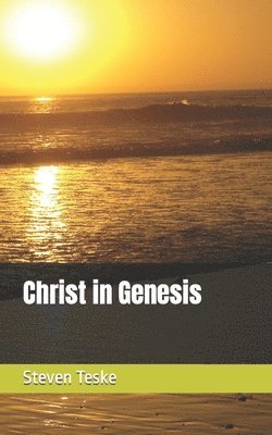 Steven Teske - Christ in Genesis, Häftad. Tillgänglighet: Lägg i varukorg