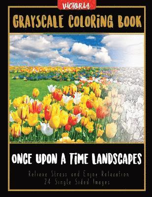 Once Upon A Time Landscapes: Grayscale Coloring Book Relieve Stress and Enjoy Relaxation 24 Single Sided Images