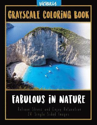 Fabulous in Nature: Landscapes Grayscale Coloring Book Relieve Stress and Enjoy Relaxation 24 Single Sided Images