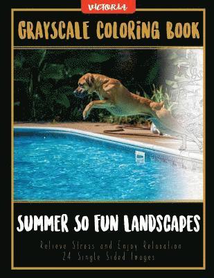 Summer So Fun Landscapes: Grayscale Coloring Book Relieve Stress and Enjoy Relaxation 24 Single Sided Images