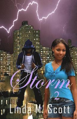 Linda Scott - Storm 2: Train Returns, Häftad