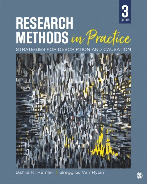 Gregg G. Van Ryzin, Dahlia K. Remler - Research Methods in Practice, E-bok
