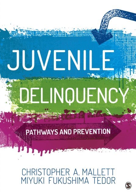 Miyuki Fukushima Tedor, Christopher A. Mallett - Juvenile Delinquency, E-bok