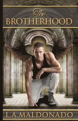 Todd Barselow - The Brotherhood, Häftad. Tillgänglighet: Lägg i varukorg
