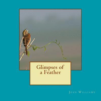 Jean Williams - Glimpses of a Feather, Häftad. Tillgänglighet: Lägg i varukorg