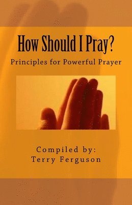 Terry Ferguson - How Should I Pray?: Principles for Powerful Prayer, Häftad. Tillgänglighet: Lägg i varukorg
