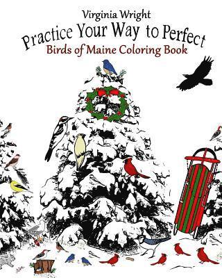 Virginia Wright - Practice Your Way to Perfect: Birds of Maine Coloring Book, Häftad. Tillgänglighet: Lägg i varukorg