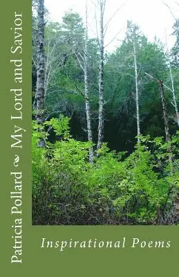 Patricia Pollard - My Lord and Savior: Inspirational Poems, Häftad. Tillgänglighet: Lägg i varukorg