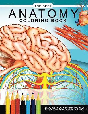 Anatomy Coloring Book, Dr Gary C. Karr - Anatomy coloring book: Muscles and Physiology Workbook Edition, Häftad