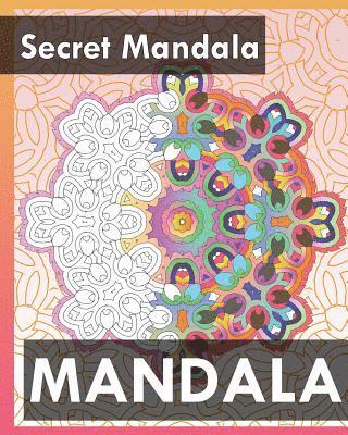 Peter Raymond - Secret Mandala (Best Adult Coloring Book for Mindful Meditation), Häftad. Tillgänglighet: Lägg i varukorg