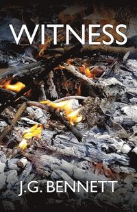 Witness: The Story of a Search