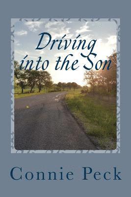 Connie Peck - Driving into the Son: A devotional for those who make their living on the road, Häftad