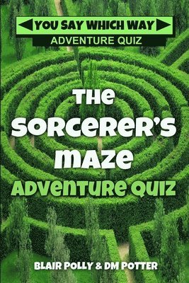 DM Potter, Blair Polly - The Sorcerer's Maze, Häftad