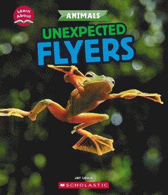 Jay Leslie - Unexpected Flyers (Learn About: Animals), Inbunden. Tillgänglighet: Tillfälligt slut