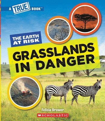 Felicia Brower - Grasslands in Danger (a True Book: The Earth at Risk), Inbunden