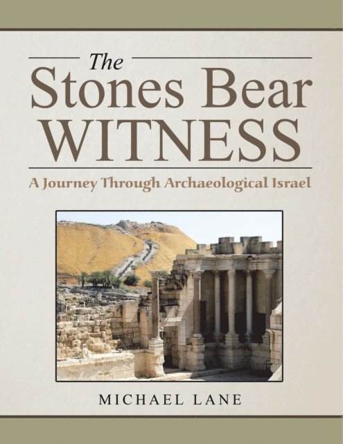 Michael Lane - Stones Bear Witness, E-bok