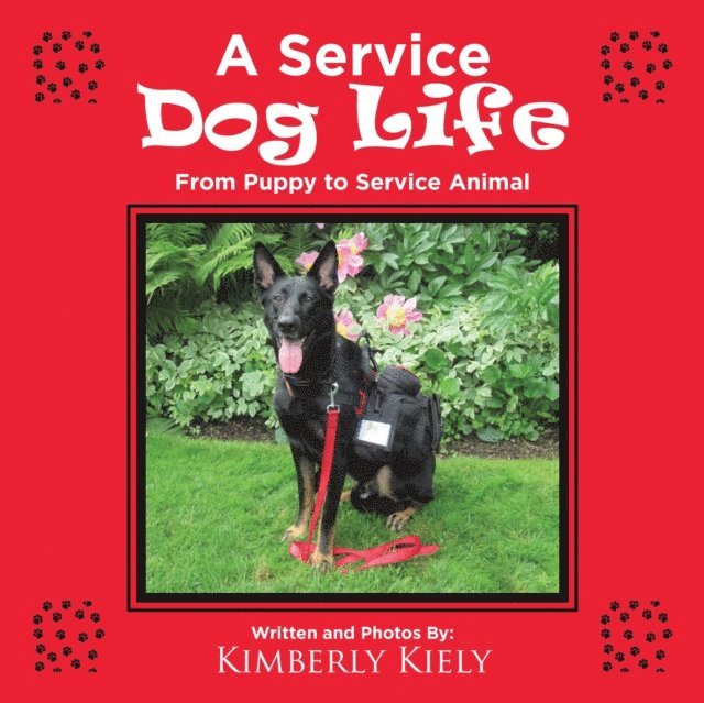 Service Dog Life